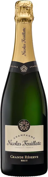 Champagne Brut AOC spumante bollicine elegante festa