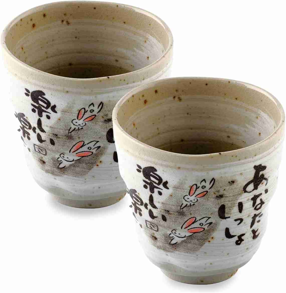 Set 2 tazze da tè Yunomi in ceramica giapponese